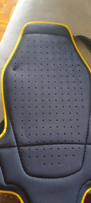Protector Espalda Forcefield Pro K Evo