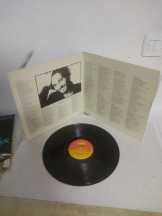 Vinilo Bruce Springsteen Born to Run