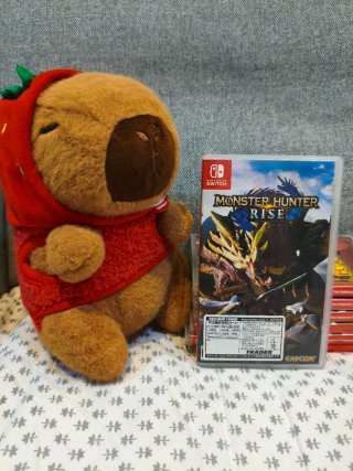 Monster Hunter Rise Nintendo Switch