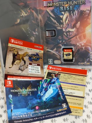 Monster Hunter Rise Nintendo Switch