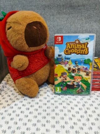 Animal Crossing: New Horizons Nintendo Switch