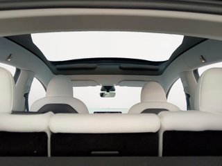 Tesla Model Y Performance 4WD 393 kW (534 CV)