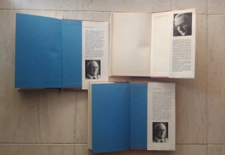 Lote 3 novelas Wilt Tom Sharpe (Círculo lectores)
