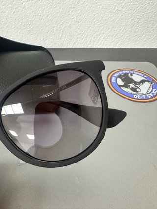Gafas de sol Ray-Ban Erika negras