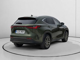 Lexus NX 350h Business 2WD 178 kW (242 CV)