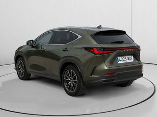 Lexus NX 350h Business 2WD 178 kW (242 CV)