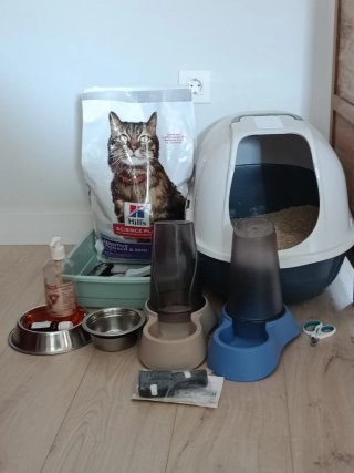 Lote Accesorios Gato: Rascadores y Pala