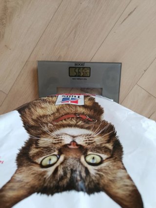 Lote Accesorios Gato: Rascadores y Pala