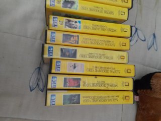 Cintas VHS National Geographic (Colección)