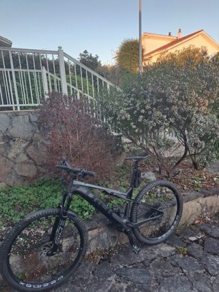 Bicicleta Eléctrica Trek E-Caliber 9.6