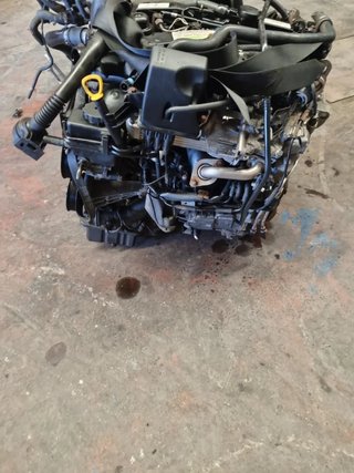 Motor Mercedes Sprinter 651.955 (2015)