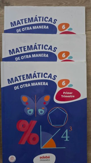 Lote libros texto 6º EP