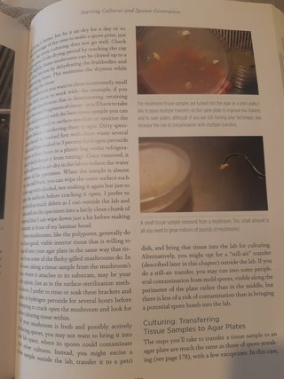 Organic mushroom farming and mycoremediation