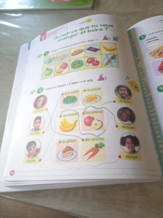 Libro francés 1