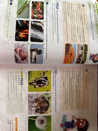 Natural Science 6, Primary, Global Thinkers