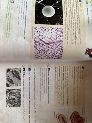 Natural Science 6, Primary, Global Thinkers