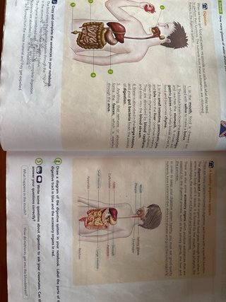 Natural Science 6, Primary, Global Thinkers