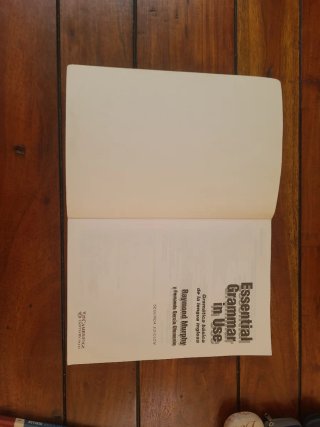 Essential Grammar in Use Spanish Edition with A...