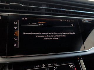 Audi Q7 TFSIe Black line edition 55 TFSIe quattro 280 kW (381 CV) tiptronic