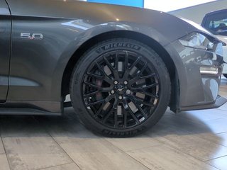 Ford Mustang 5.0 Ti-VCT V8 331kW Mustang GT (Fastb.)