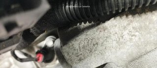 20671860 z22yh motor completo opel signum fastback