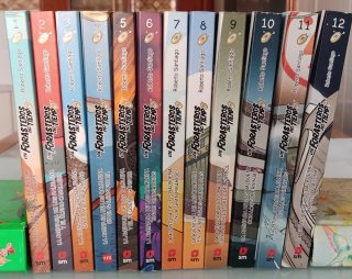Libros de lectura: Los Forasteros del tiempo(1-12)