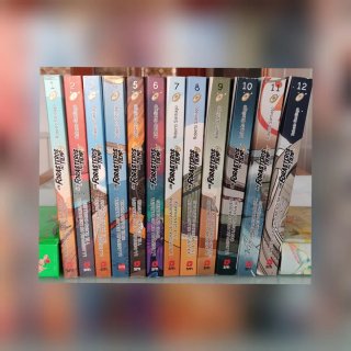 Libros de lectura: Los Forasteros del tiempo(1-12)