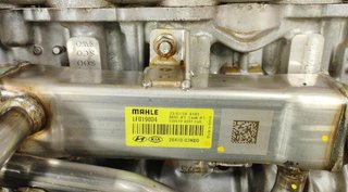 Motor g4le kia xceed (cd) 1.6 gdi hybrid 22203861