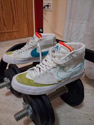 Nike SB Dunk Low Pro