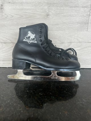 Patines de Hielo Negros.