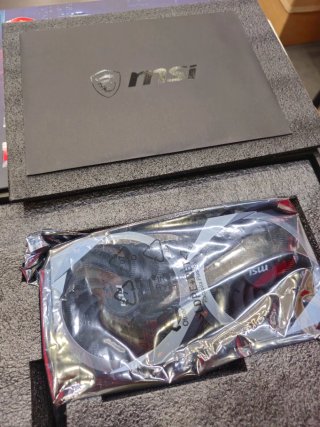 MSI RX 6700 XT Mech 2X Tarjeta Gráfica
