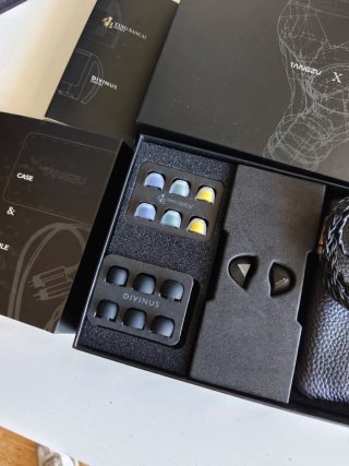 Tangzu Fudu Verse 1 IEM
