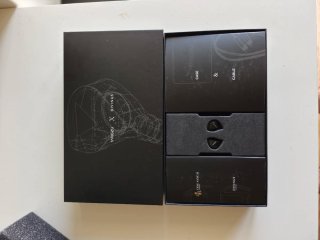 Tangzu Fudu Verse 1 IEM