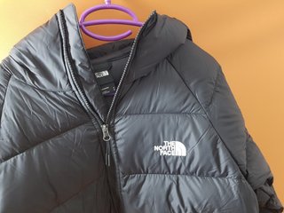 The North Face Hydrenalite Hoodie 600