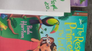 Lote 4 libros de Rescue Princesses en Inglés