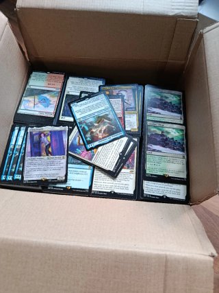 Lote Magic