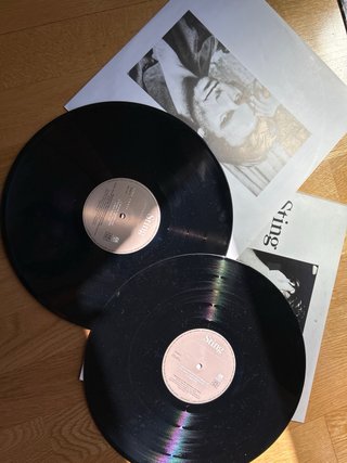 Vinilo Sting Nothing Like the Sun