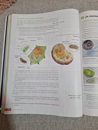 Biología y Geología. 1 Secundaria. Revuela. Cas...