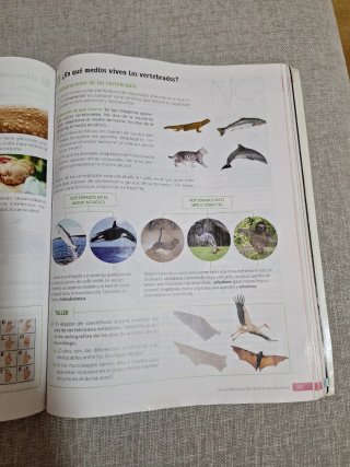 Biología y Geología. 1 Secundaria. Revuela. Cas...