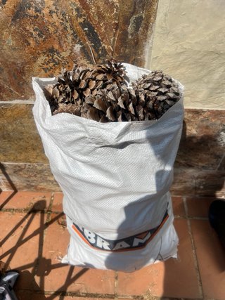 Saco de piñas