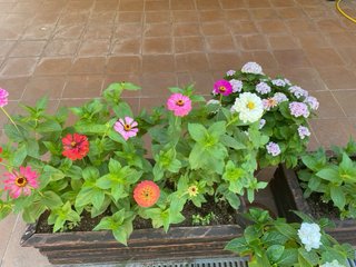 Jardinera de madera con flores variadas