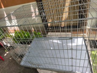 Jaula plegable para perros