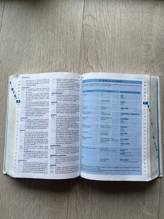 Diccionario de Primaria