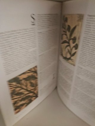 Tolkien enciclopedia ilustrada