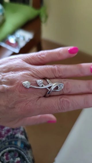 Lote de 2 anillos