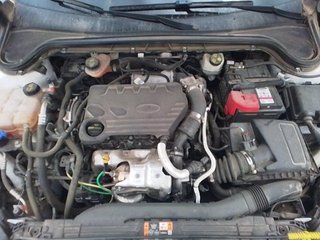 Ford Focus SportBreak 1.5 Ecoblue Trend+ 88 kW (120 CV)