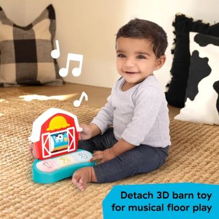 Centro de Actividad Baby Einstein Granja