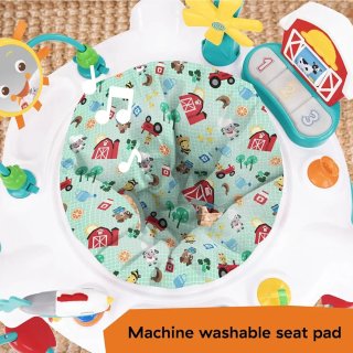 Centro de Actividad Baby Einstein Granja