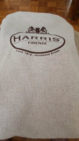 Zapatillas Harris Firenze Piel Serpiente
