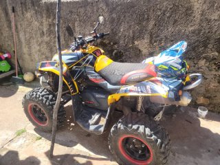 Can-Am Renegade 800